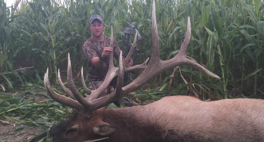 Nebraska Archery Elk