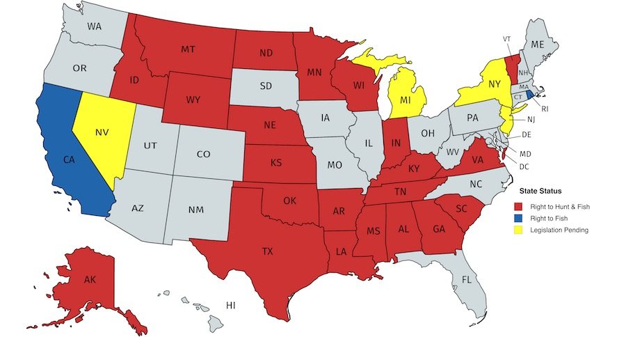 Here's a Map That Shows You Which States Have a Constitutional Right to Hunt and Fish