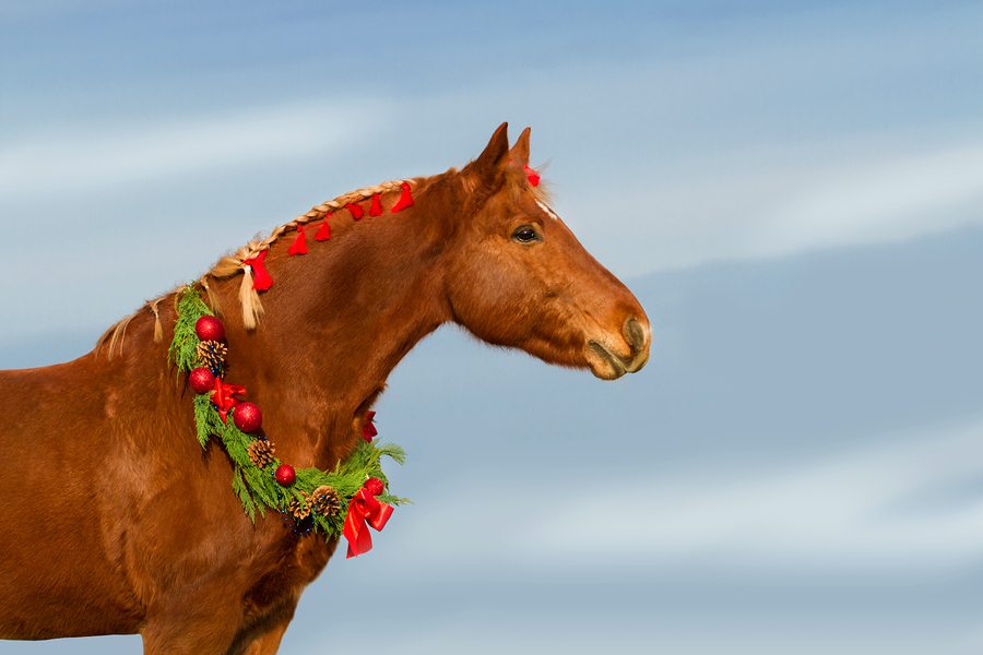 Christmas horse