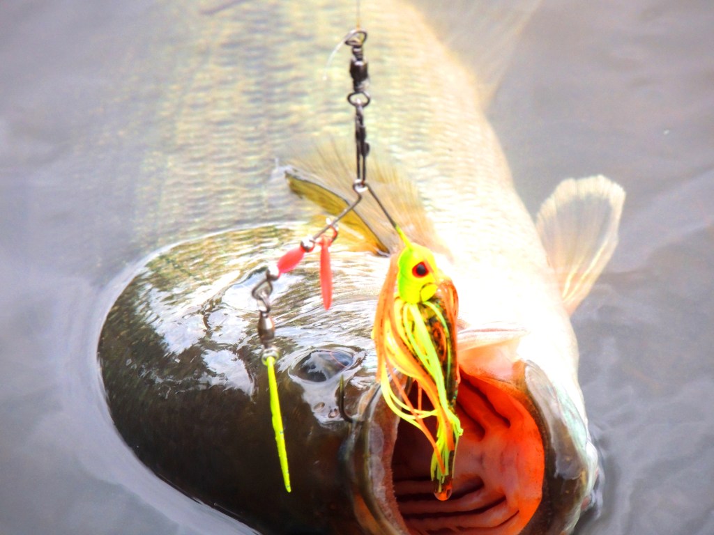 The right bait and tackle is a must during cold weather situations.
