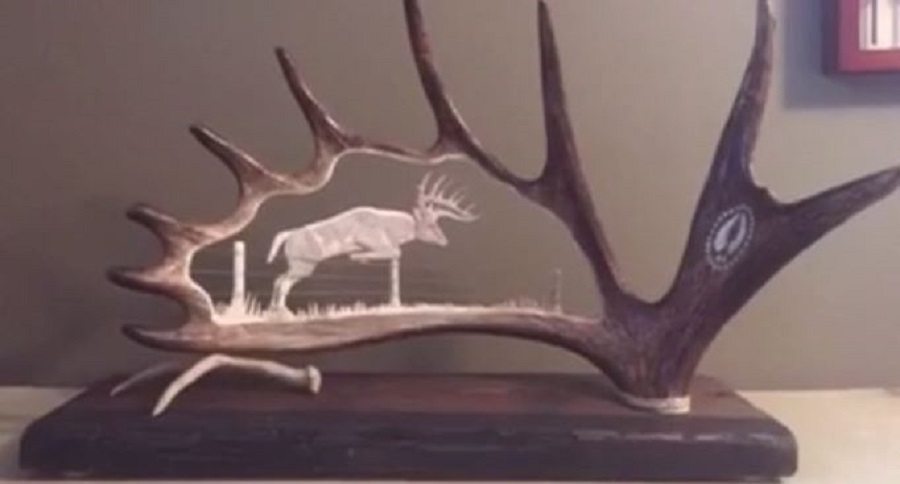 moose antler carving