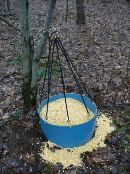 antler trap ideas