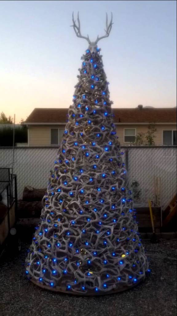 shed antler christmas trees