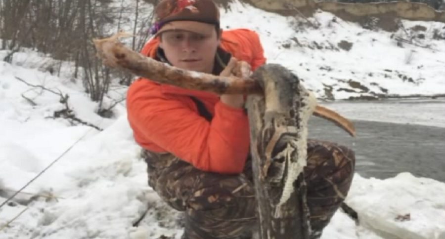 16 foot long frozen snake found