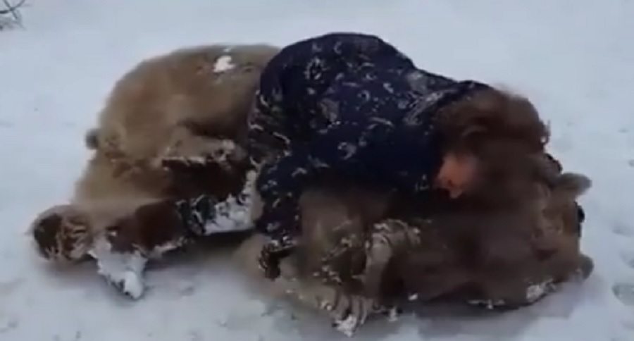 woman and her pet bear