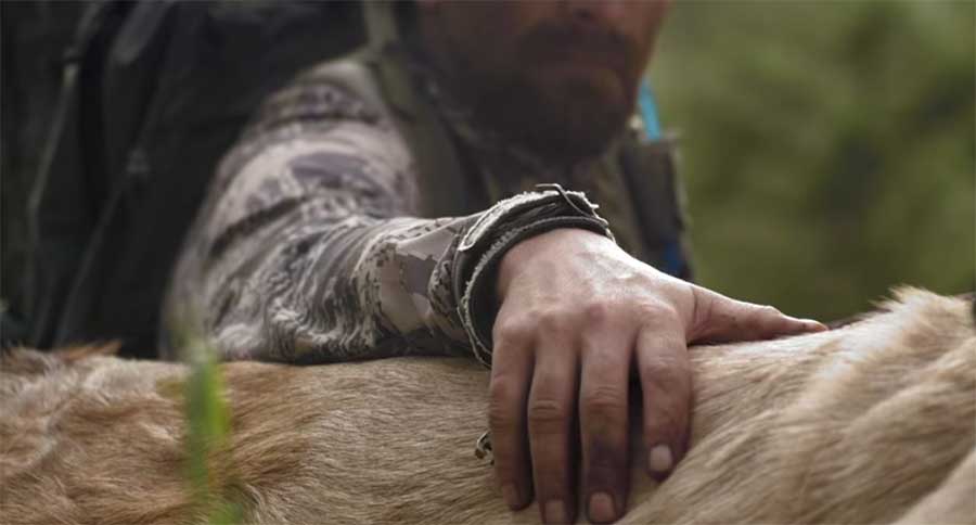 hunting circle of life