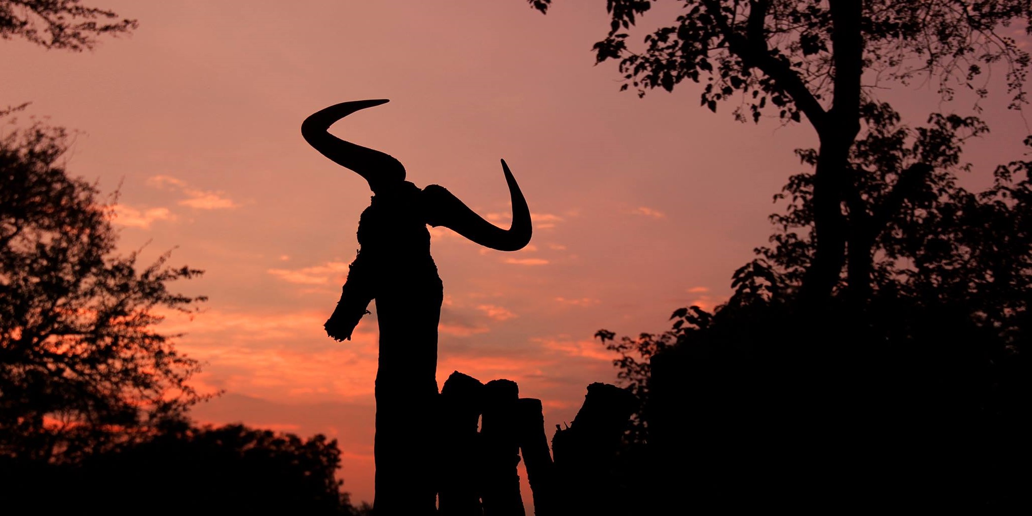 Here's How Much An African hunting Safari Costs sunrise