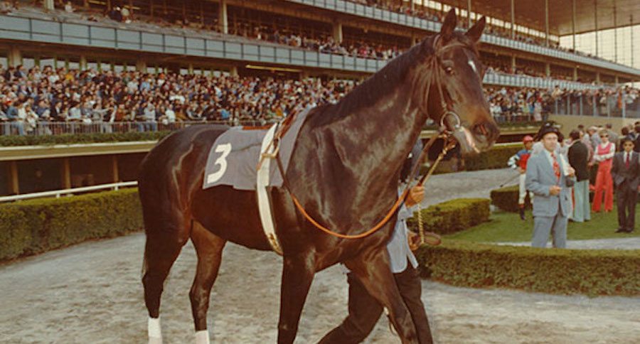 Ruffian's Tragedy: The Story Behind Arguably Horse Racing's Greatest