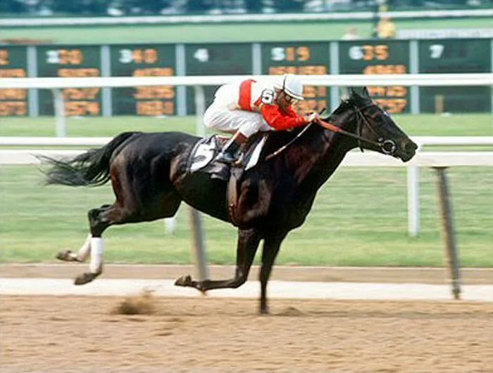 Ruffian Galloping