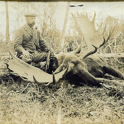 bull-moose-vintage