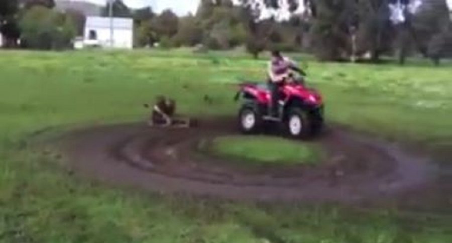 quad