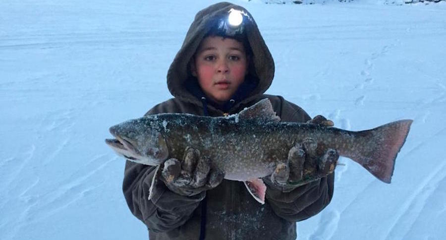 Idaho brook trout