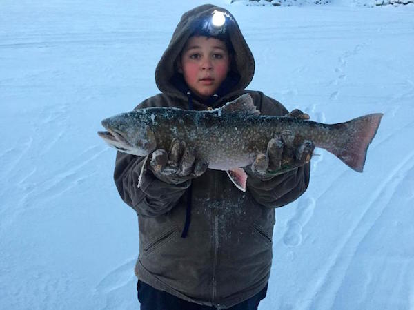 Idaho brook trout