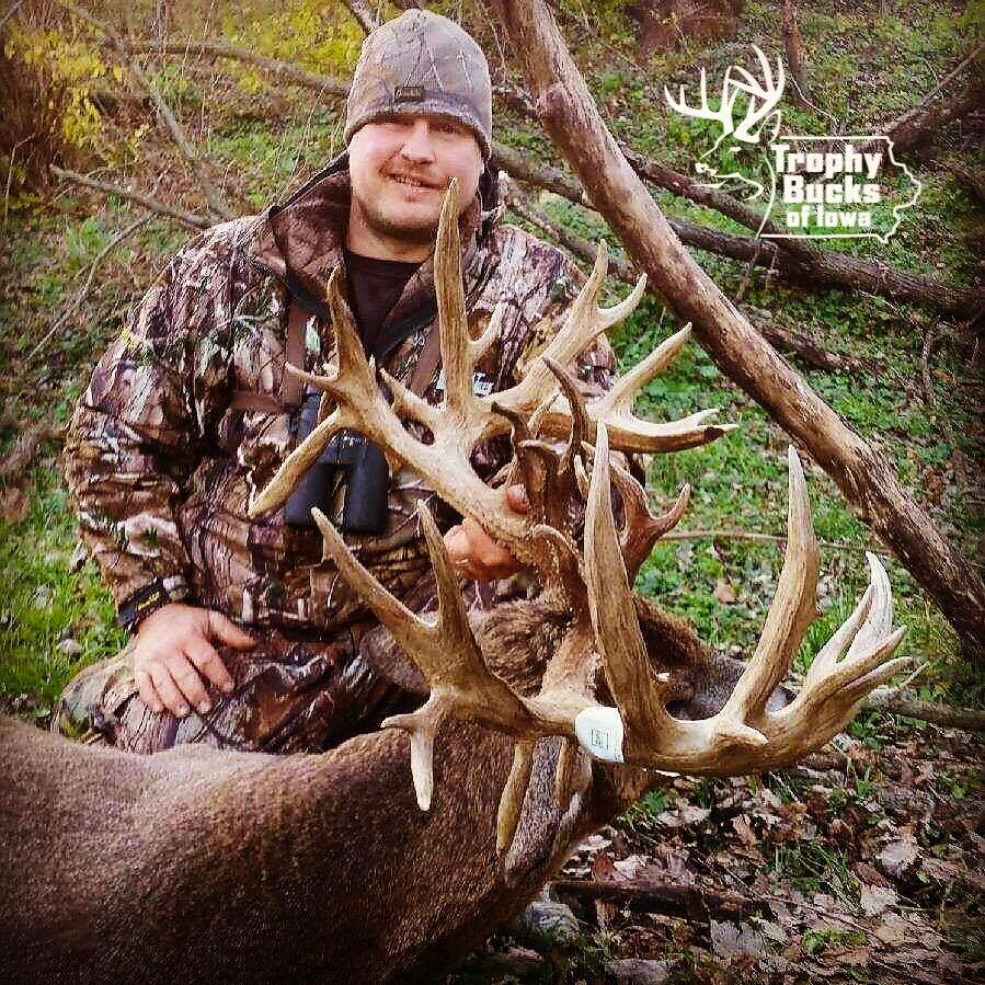 iowa archery whitetail buck