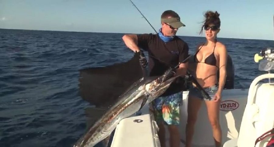 florida keys sailfish