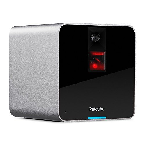 Petcube 1