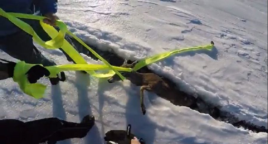 pressure cracks