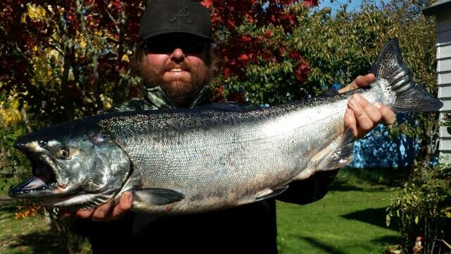 Fall Chinook Caught by Author