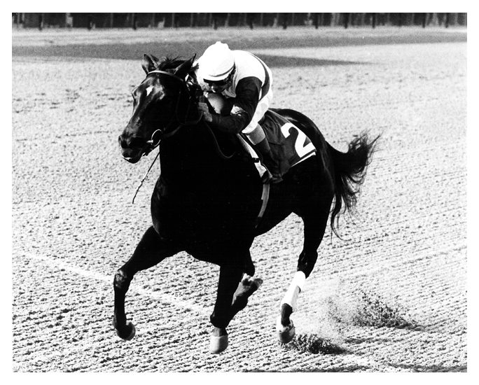 Ruffian Galloping