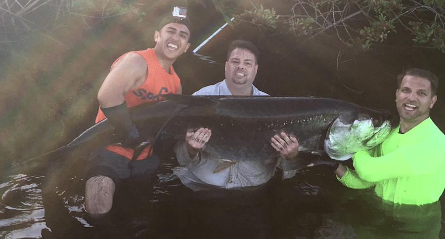 record tarpon