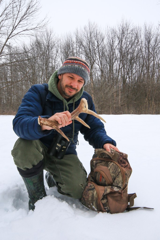 shed hunting