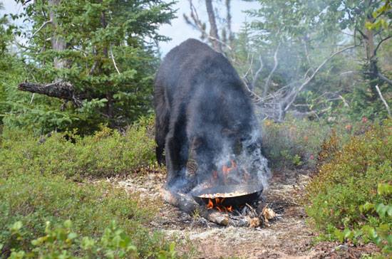 smokey the bear