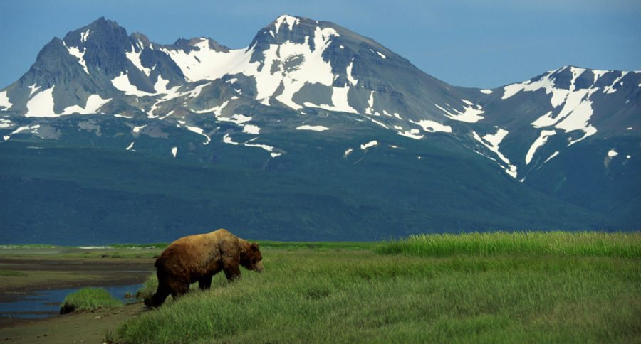 Alaska