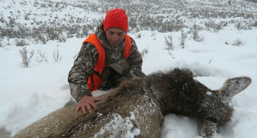 emotional elk hunt