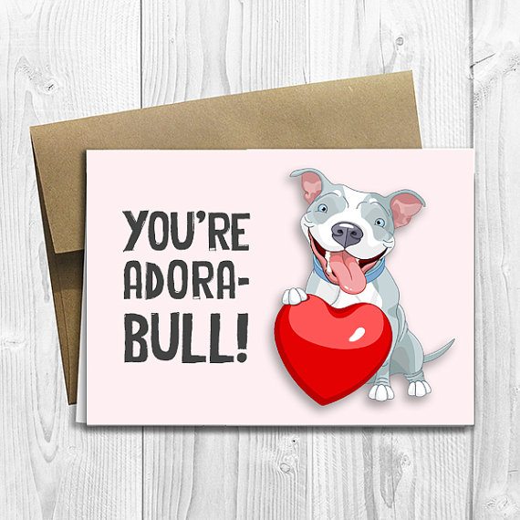 Bulldog valentine's day card