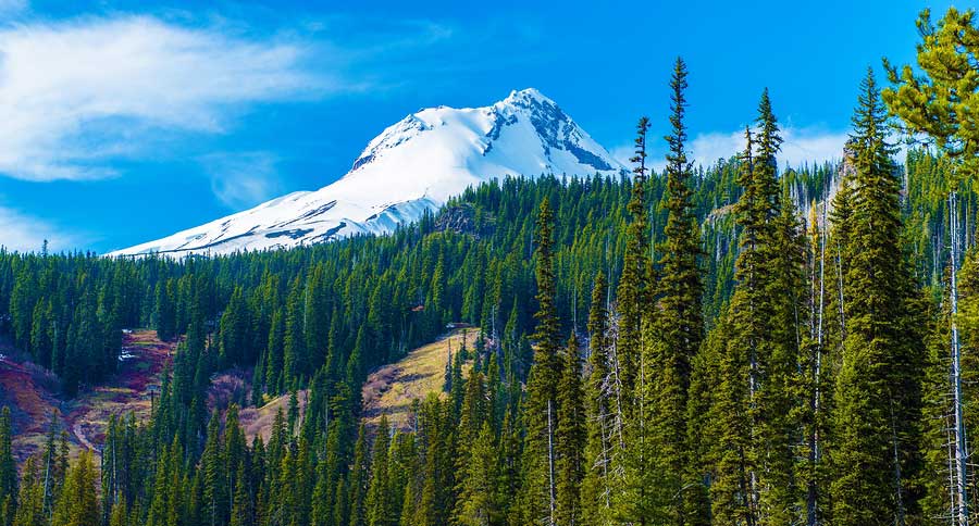 mount hood