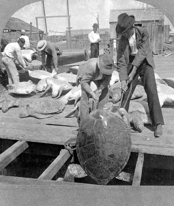 vintage saltwater fishing 