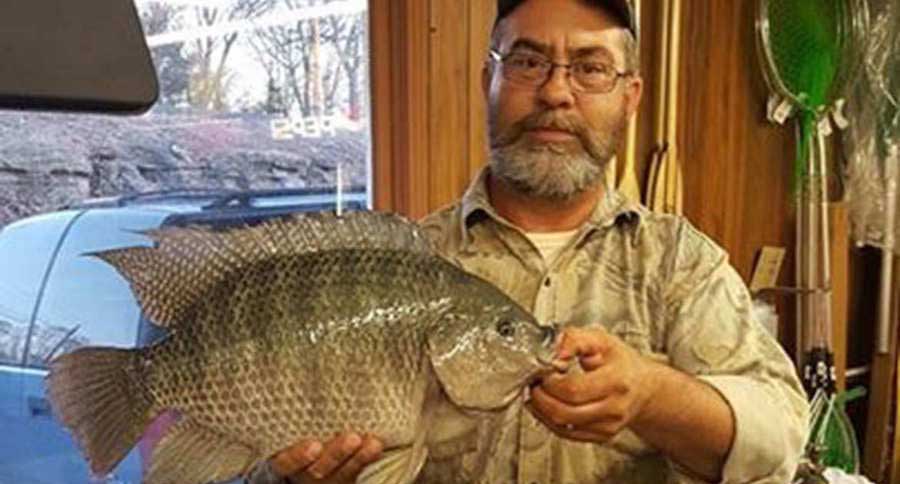 record tilapia