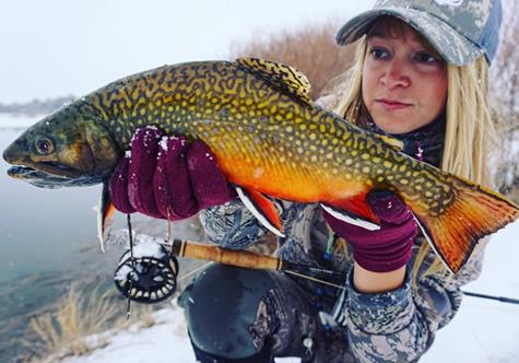 Image via Walton Rods team member, Bridget Fabel