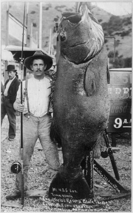 10 Vintage Saltwater Fishing Photos That Are Instant Classics