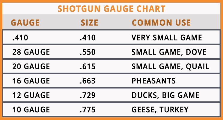 shotgun gauge chart