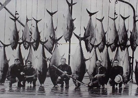 vintage saltwater fishing 