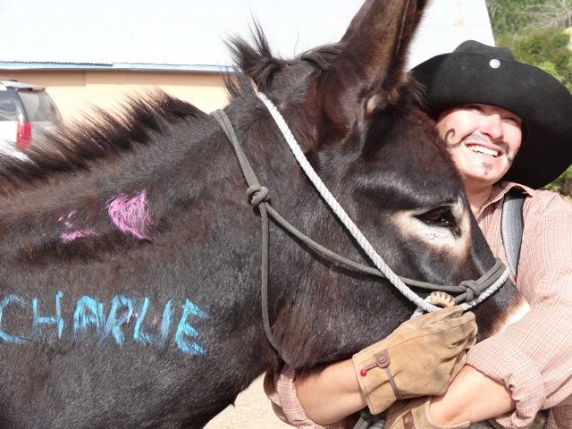 woman hugging donkey named Charlie