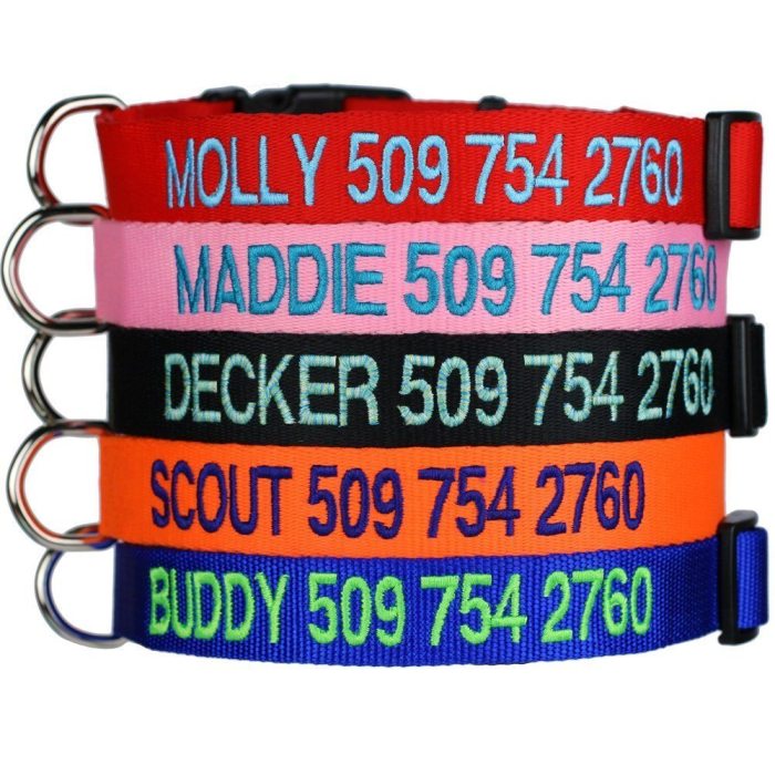 Custom Embroidered Dog Collars