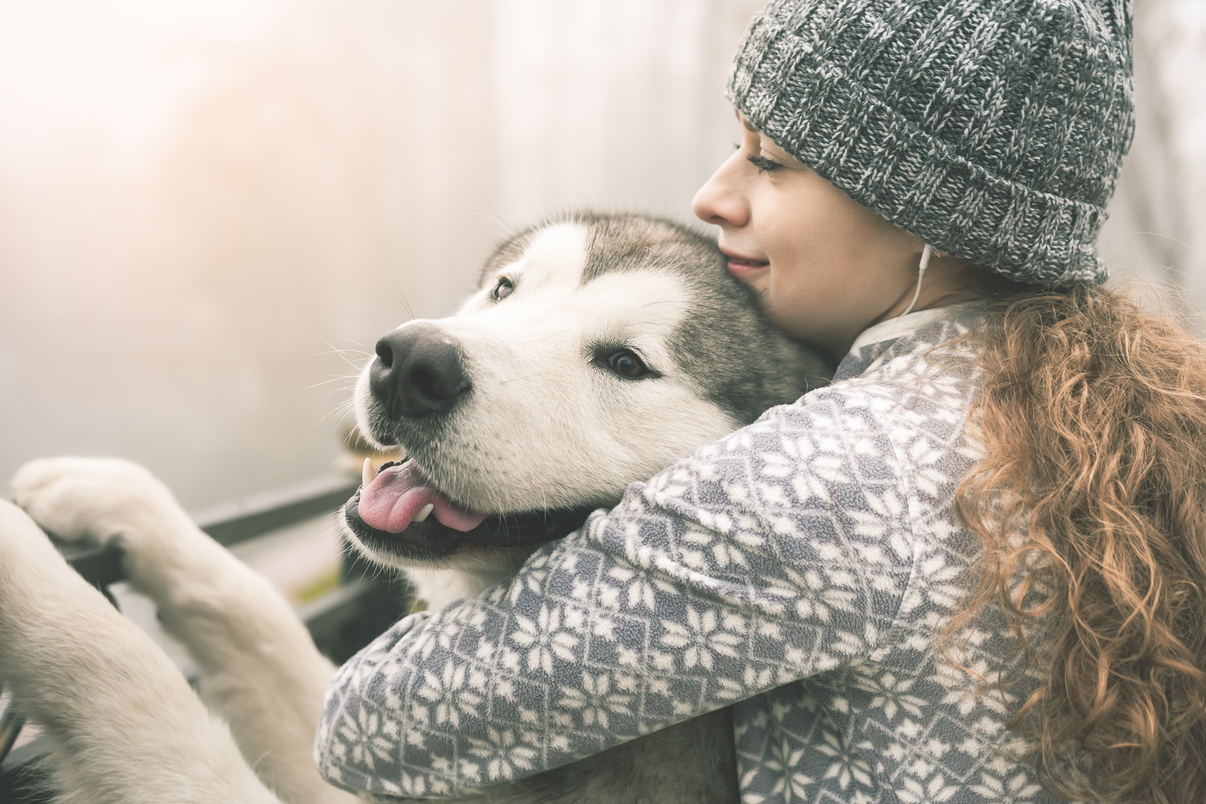 Image of young girl with her dog, alaskan malamute, outdoor at autumn or winter. Domestic pet. Husky