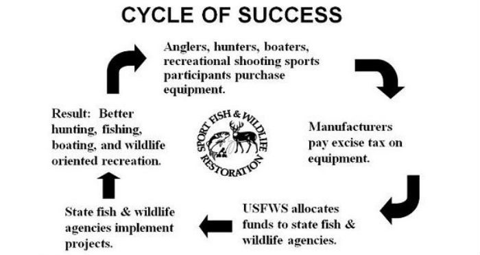 ODWCycleofSuccess_1