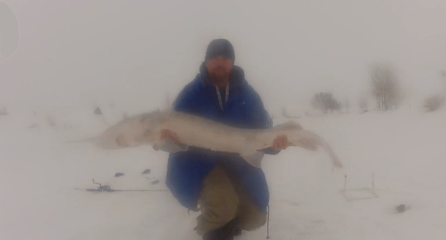 sturgeon ice fishing