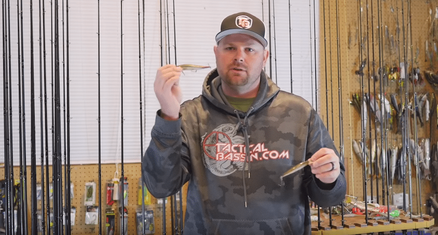 spring bass fishing