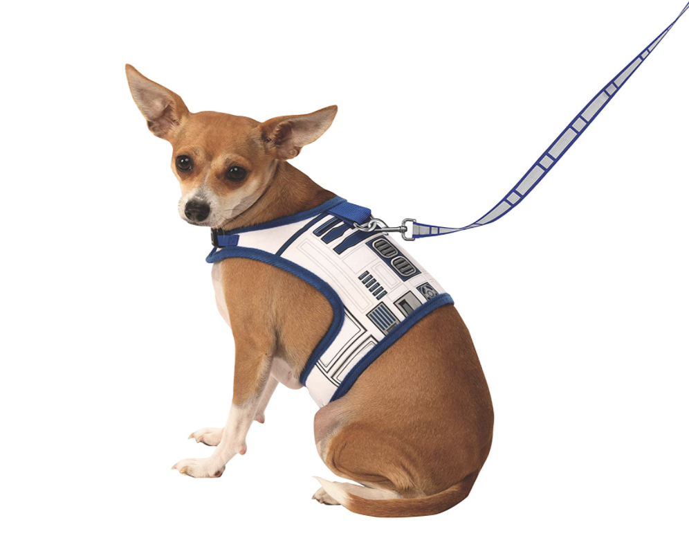 Star Wars Dog Leash