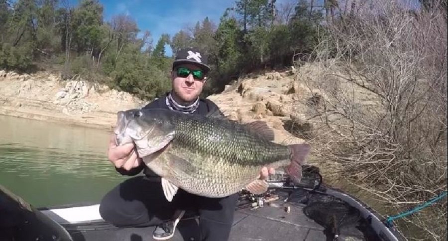 record spotted bass