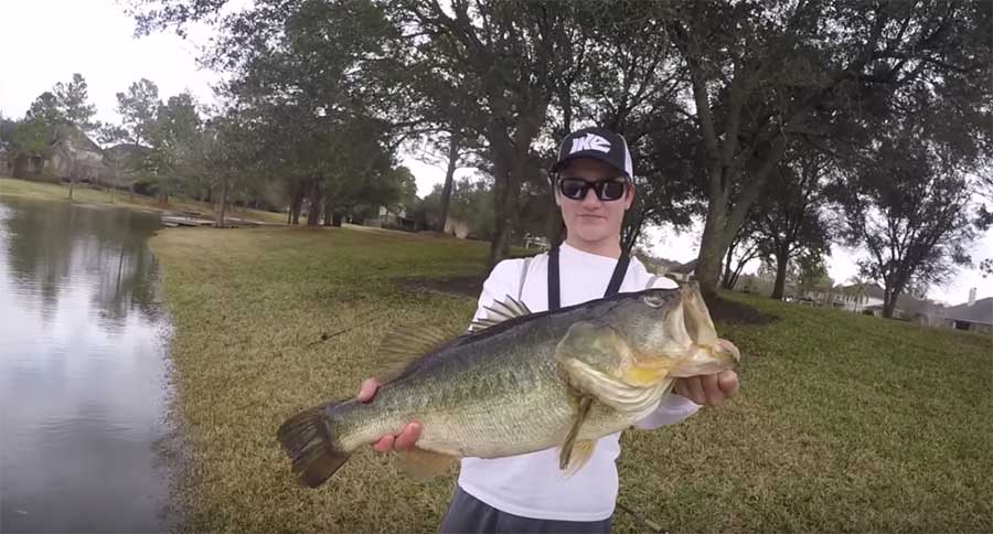 bass fishing locally