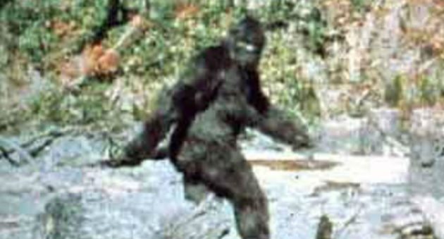 bigfoot