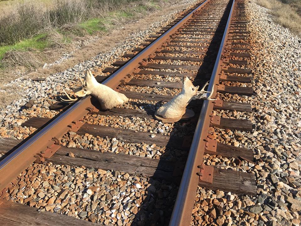 deer railroad