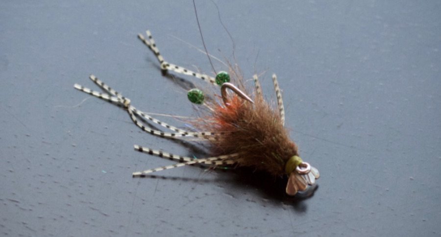 fish skull shrimp