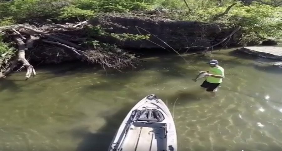 flyrod