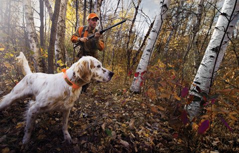 franchi, shotguns, upland bird hunting, bird hunting